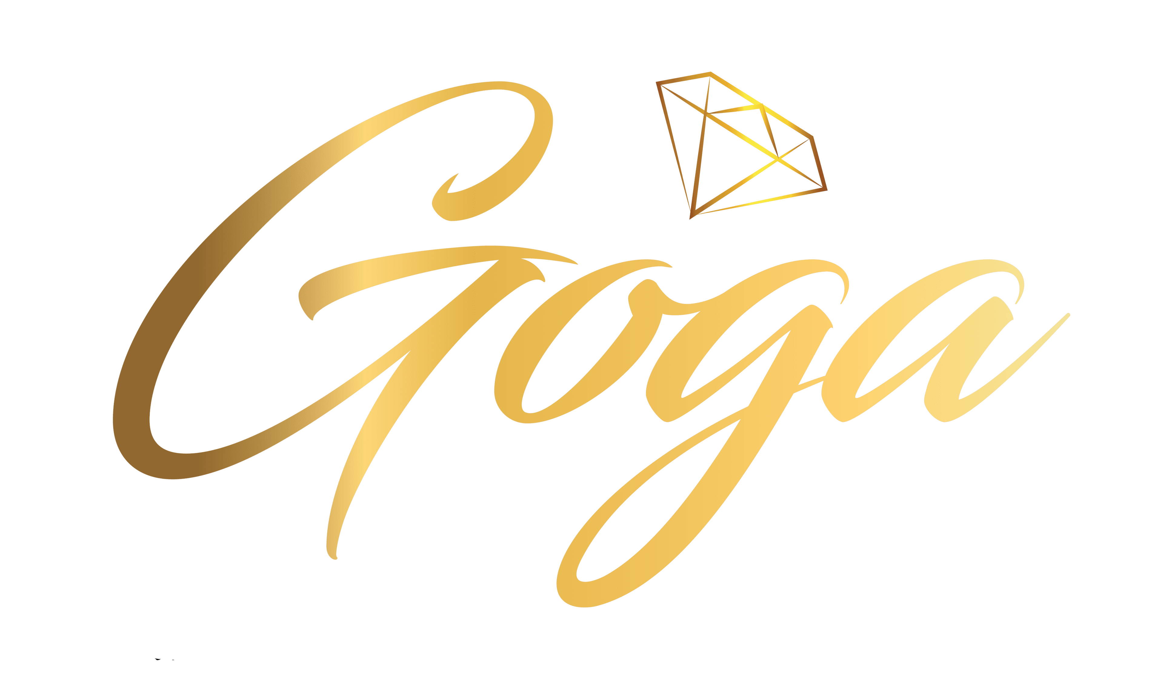 Salon Goga